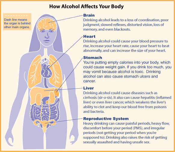 What happens to your body when on sale you drink alcohol