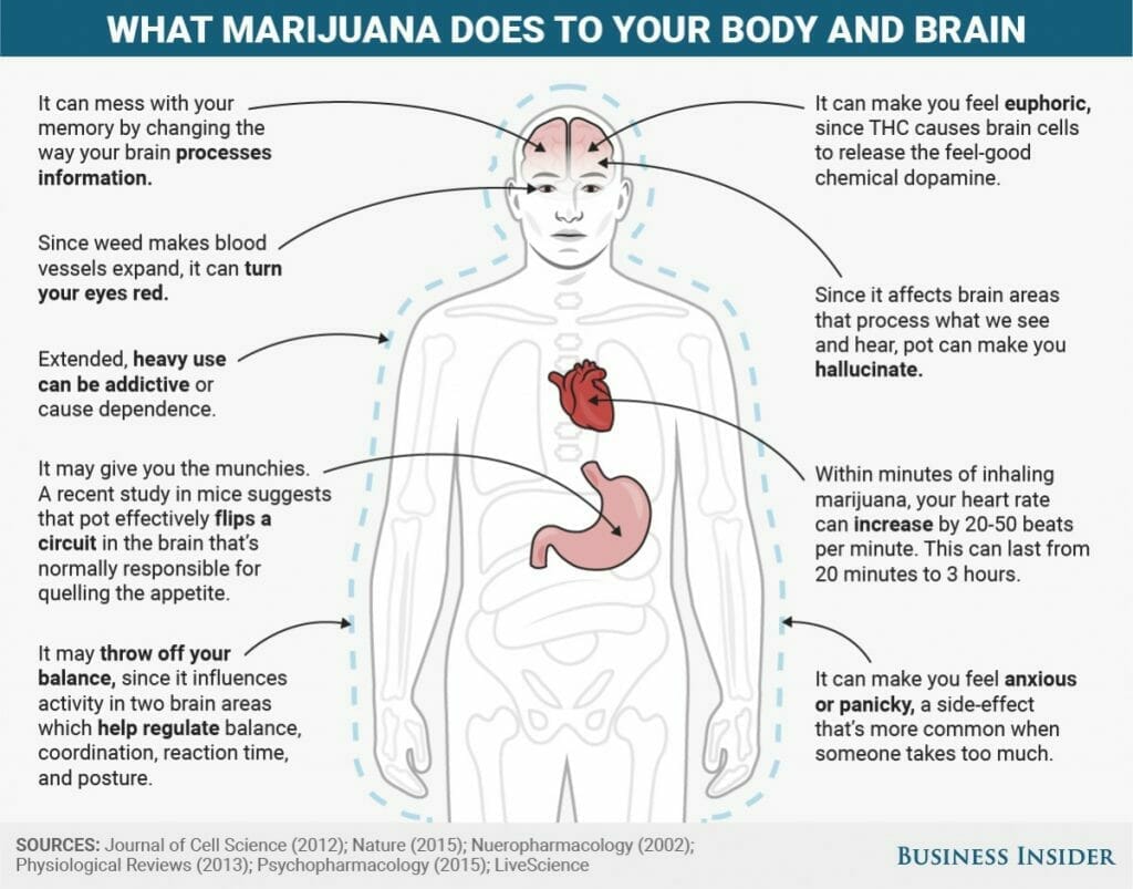 cannabis addiction