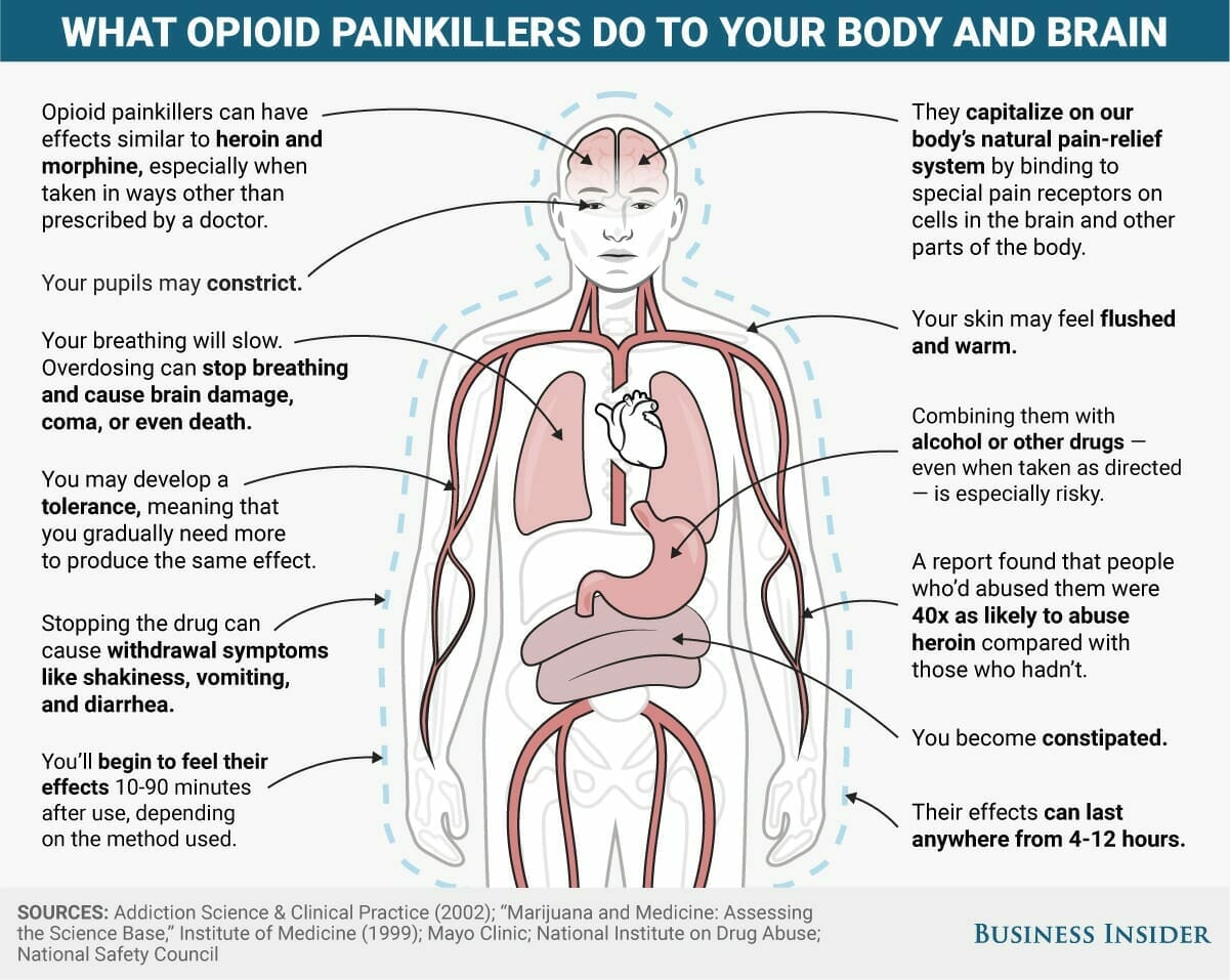 On the body. Alcohol harm.