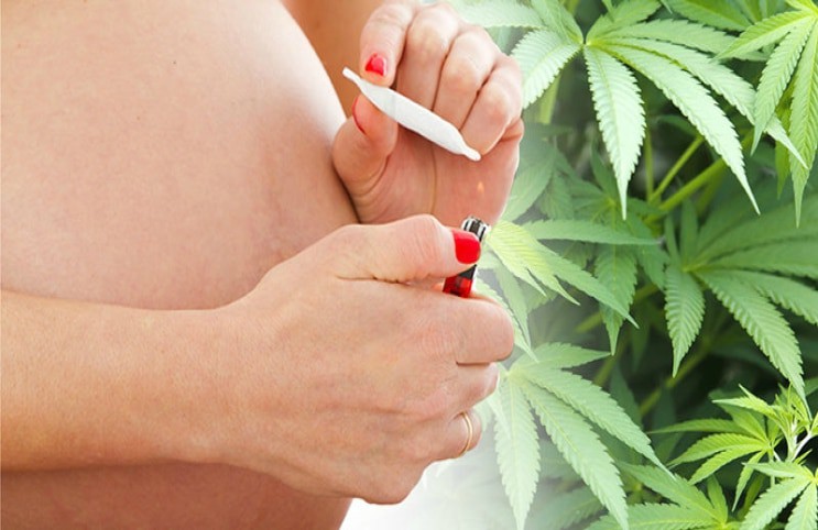 Cannabis During Pregnancy